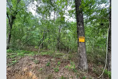 5924 Wagener Road, Wagener, SC 29164 - Photo 45