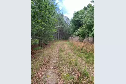 5924 Wagener Road, Wagener, SC 29164 - Photo 39