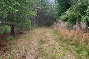 5924 Wagener Rd, Wagener, SC 29164 - Photo 39