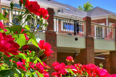 436 Spalding Lake Circle, Aiken, SC 29803 - Photo 57