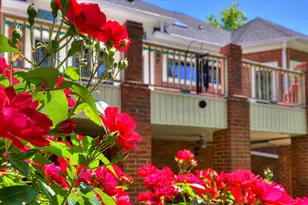 436 Spalding Lake Cir, Aiken, SC 29803 - Photo 57