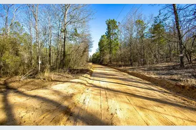 Lot 4 Bluffwood Road, Wagener, SC 29164 - Photo 9