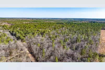 Lot 14 Bluffwood Road, Wagener, SC 29164 - Photo 5