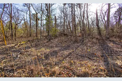 Lot 14 Bluffwood Road, Wagener, SC 29164 - Photo 9