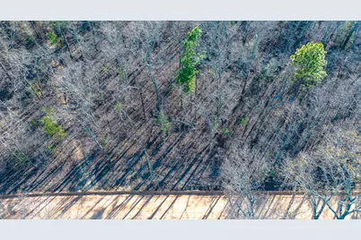 Lot 14 Bluffwood Road, Wagener, SC 29164 - Photo 7