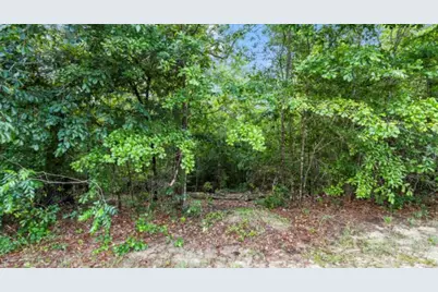 Lot S-17 Scarborough Pass, Aiken, SC 29801 - Photo 5