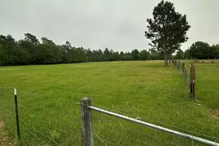 615 Browns Pond Rd, Wagener, SC 29164 - Photo 31