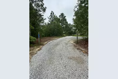 615 Browns Pond Road, Wagener, SC 29164 - Photo 29