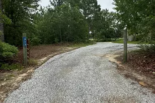 615 Browns Pond Rd, Wagener, SC 29164 - Photo 29