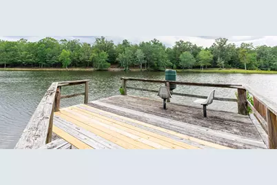 347 Fallaw Road, Batesburg-Leesville, SC 29006 - Photo 63