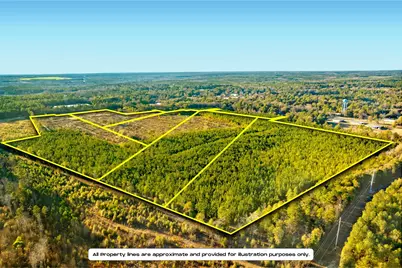 Tract 3 Festival Trail, Salley, SC 29137 - Photo 3