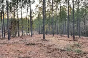 0 Camp Rawls Rd, Aiken, SC 29801 - Photo 1