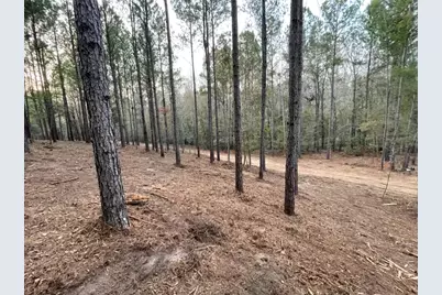 0 Camp Rawls Road, Aiken, SC 29801 - Photo 7