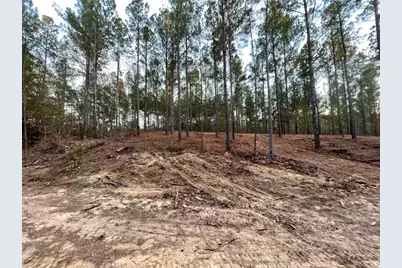 0 Camp Rawls Road, Aiken, SC 29801 - Photo 3