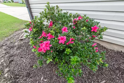 504 Hampton Drive, North Augusta, SC 29860 - Photo 25