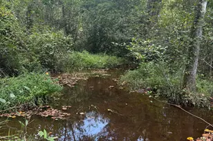 1095 Bradley Mill Rd, Aiken, SC 29805 - Photo 1