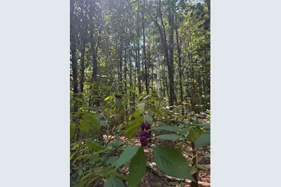 Tbd Bradley Mill Road, Aiken, SC 29805 - Photo 3