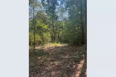 Tbd Bradley Mill Road, Aiken, SC 29805 - Photo 5