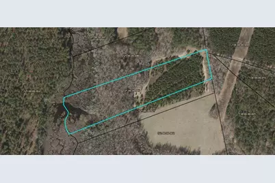 L7 Tb Sunshine Road, Blackville, SC 29817 - Photo 1