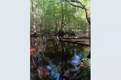 247 Horseshoe Trail, Barnwell, SC 29812 - Photo 71