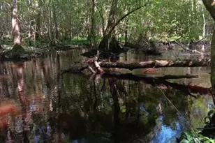 247 Horseshoe Trail, Barnwell, SC 29812 - Photo 71