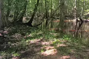 247 Horseshoe Trail, Barnwell, SC 29812 - Photo 69