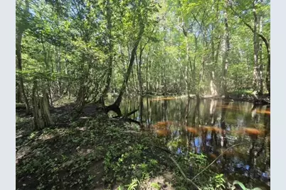 247 Horseshoe Trail, Barnwell, SC 29812 - Photo 67