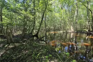 247 Horseshoe Trail, Barnwell, SC 29812 - Photo 67