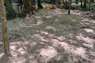 247 Horseshoe Trail, Barnwell, SC 29812 - Photo 3