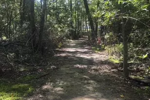 247 Horseshoe Trail, Barnwell, SC 29812 - Photo 59