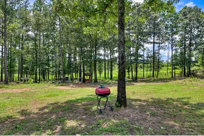 196 Brodie Hall Road, Wagener, SC 29164 - Photo 35