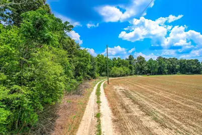 196 Brodie Hall Road, Wagener, SC 29164 - Photo 37