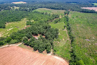 196 Brodie Hall Road, Wagener, SC 29164 - Photo 39