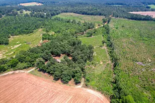 196 Brodie Hall Rd, Wagener, SC 29164 - Photo 39