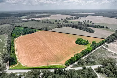 196 Brodie Hall Road, Wagener, SC 29164 - Photo 7