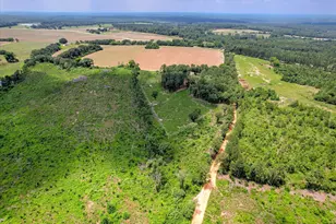 196 Brodie Hall Rd, Wagener, SC 29164 - Photo 5