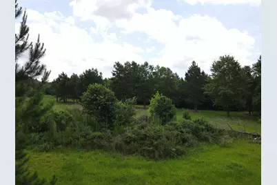 00 Reynolds Road, Barnwell, SC 29812 - Photo 3