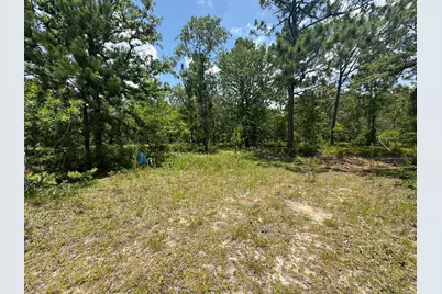 17 Acres Hard Luck Lane, Windsor, SC 29856 - Photo 27