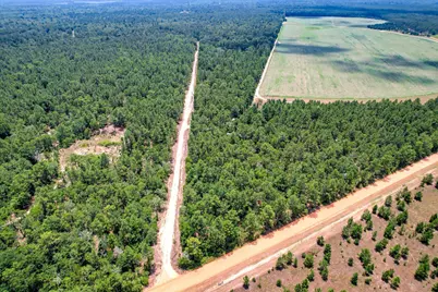 17 Acres Hard Luck Lane, Windsor, SC 29856 - Photo 21