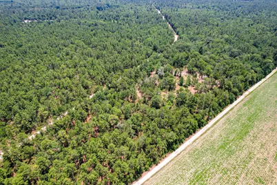 17 Acres Hard Luck Lane, Windsor, SC 29856 - Photo 9