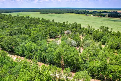 17 Acres Hard Luck Lane, Windsor, SC 29856 - Photo 5