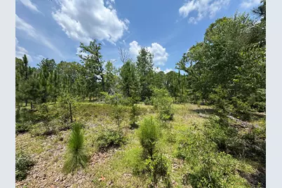 17 Acres Hard Luck Lane, Windsor, SC 29856 - Photo 7