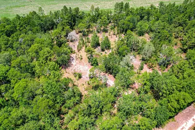 17 Acres Hard Luck Lane, Windsor, SC 29856 - Photo 17