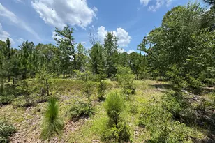174 Hard Luck Ln, Windsor, SC 29856 - Photo 1