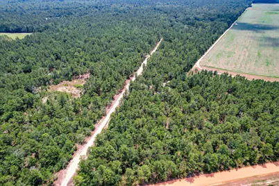 17 Acres Hard Luck Lane, Windsor, SC 29856 - Photo 23