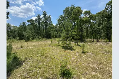 17 Acres Hard Luck Lane, Windsor, SC 29856 - Photo 11