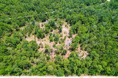 17 Acres Hard Luck Lane, Windsor, SC 29856 - Photo 13