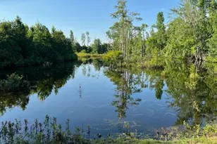 121 Atlantic Ave, Barnwell, SC 29812 - Photo 19