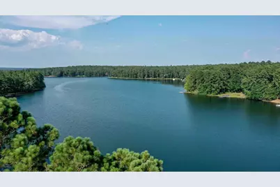 813 Edisto Lake Road, Wagener, SC 29164 - Photo 33