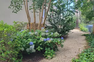 80 Peninsula Point, Aiken, SC 29803 - Photo 49